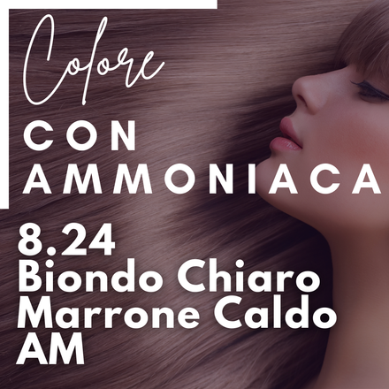 8.24 Biondo Chiaro Marrone Caldo AM