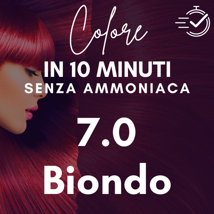 7.0  Biondo QSA