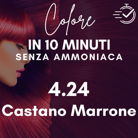 4.24  Castano Marrone QSA